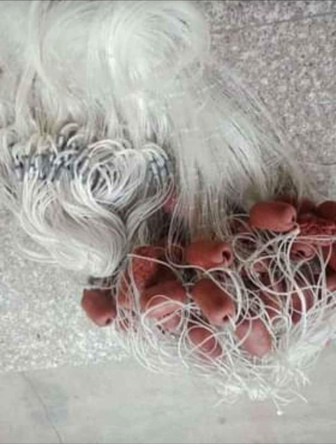 Fishing Net