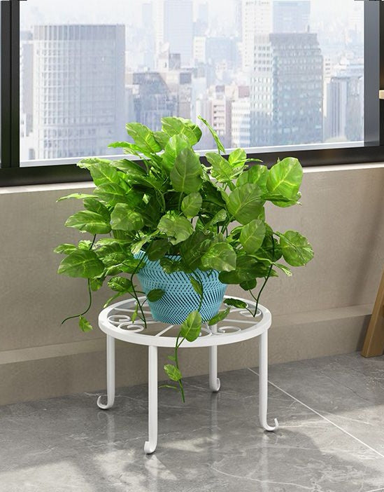 A green potted plant on a white metal flower rack indoors, with a window in the background.