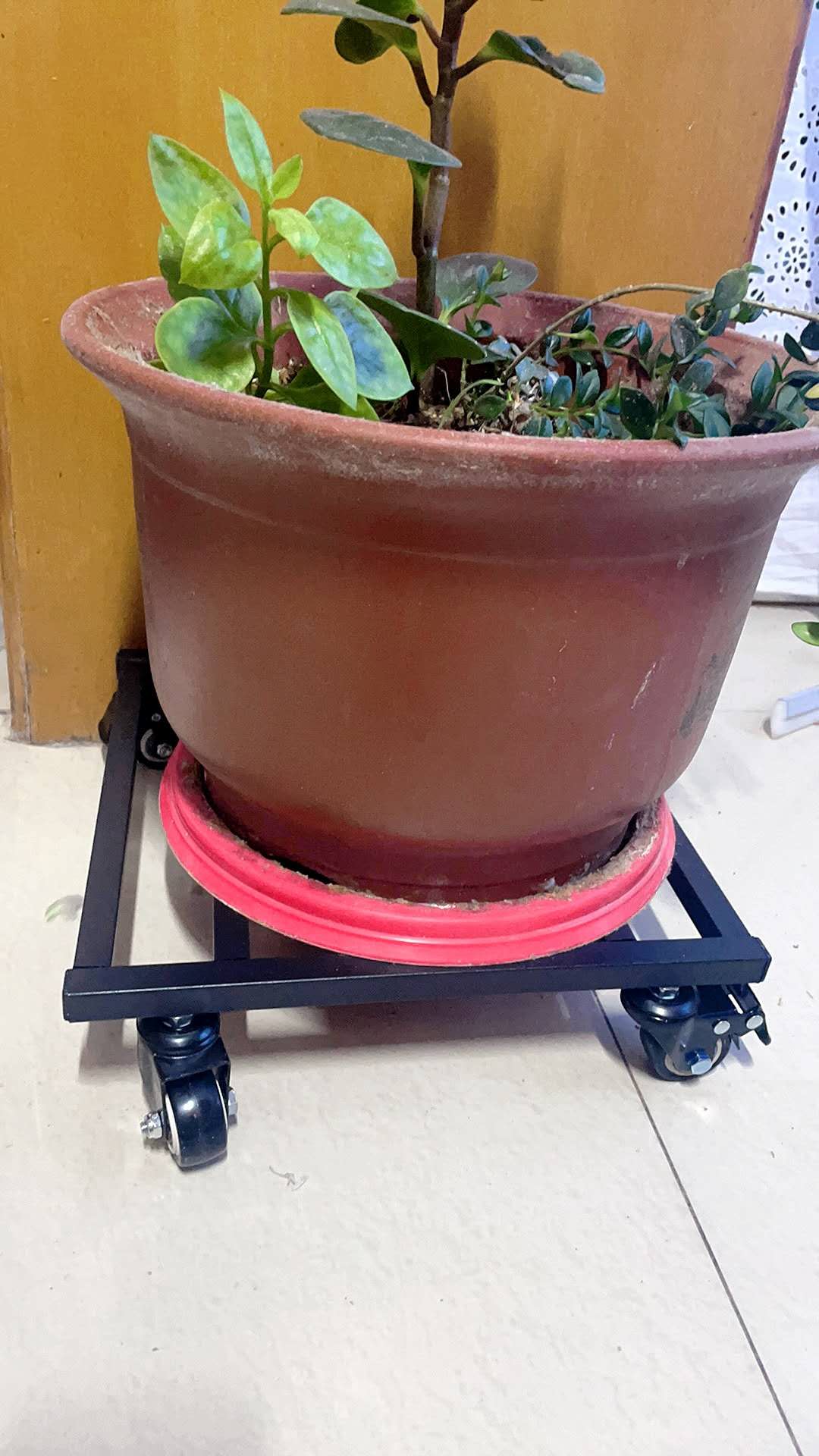 Brand New Pot Stand Trolley
