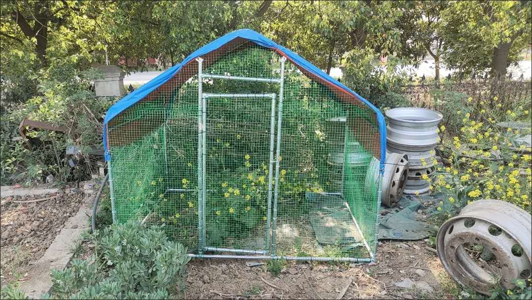Brand new chicken coops, chicken cages