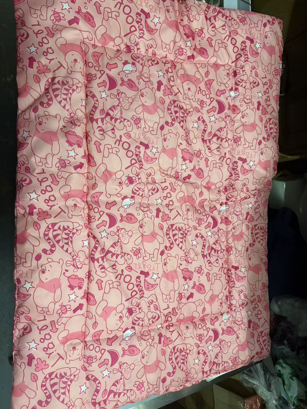 Multi-functional Cat Dog bed mat