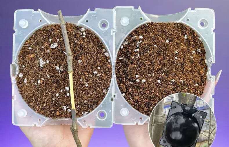 5pcs Reusable Plant Rooting Device, Air Layering Pods, Plant Rooting Grow Box.